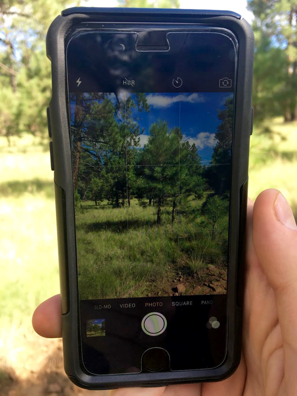 15 Phone Camera Photography Tricks You'll Wish You Knew