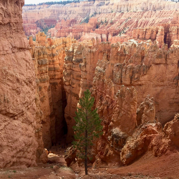 Bryce Canyon National Park Travel Tips at NeverEndingJourneys.com