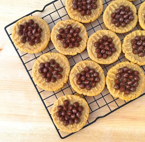 Easiest Chocolate Cookies from NeverEndingJourneys.com