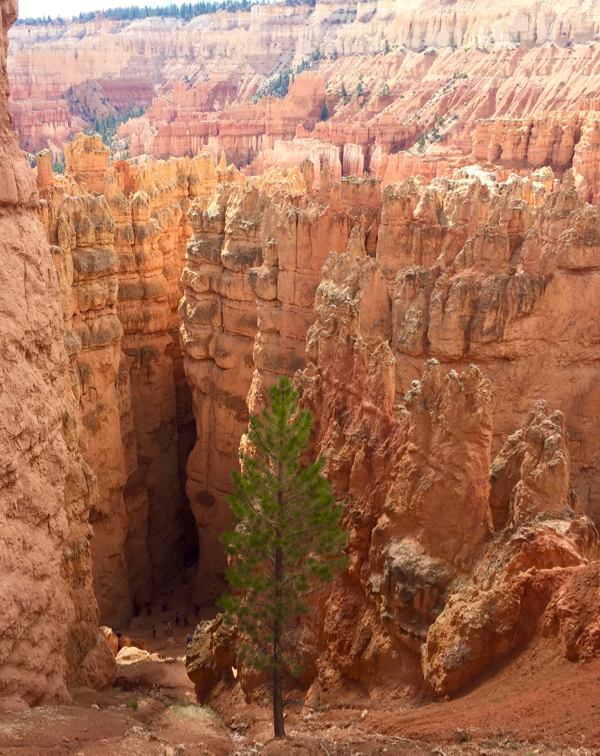 Free National Park Entrance Days from NeverEndingJourneys.com