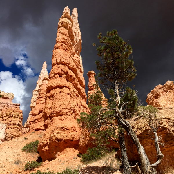 Bryce Canyon Stormy Weather from NeverEndingJourneys.com