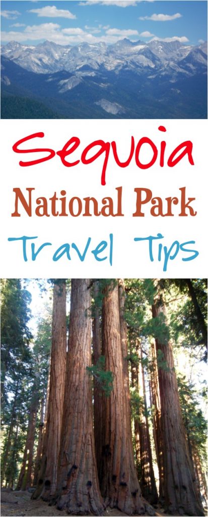 Sequoia National Park Travel Tips! (Read This Before You Go) - Never ...