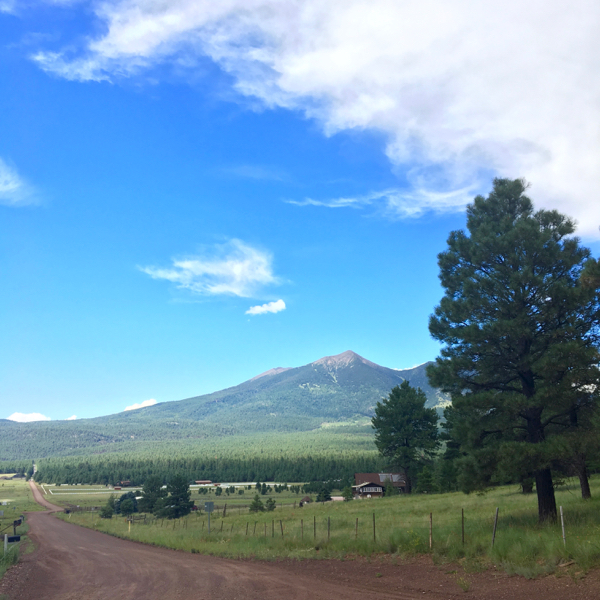 Flagstaff Arizona Travel Guide