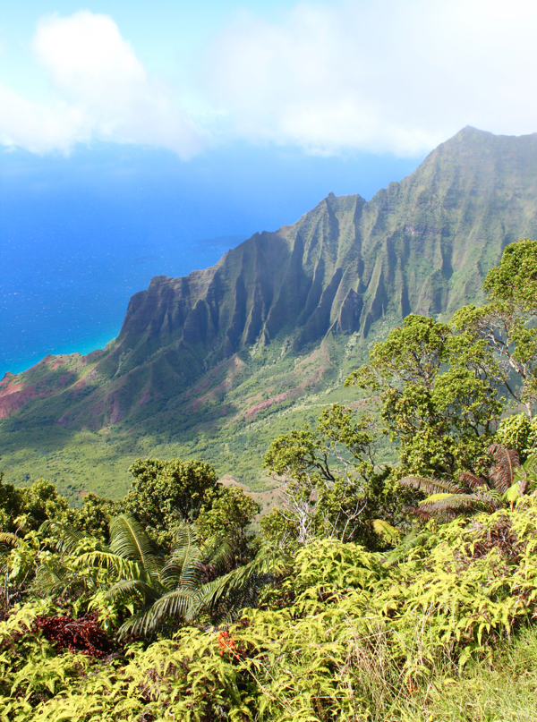 Kauai Budget Travel Guide Koke'e State Park