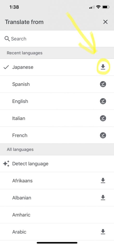 How to Save Data While Traveling With Google Translate