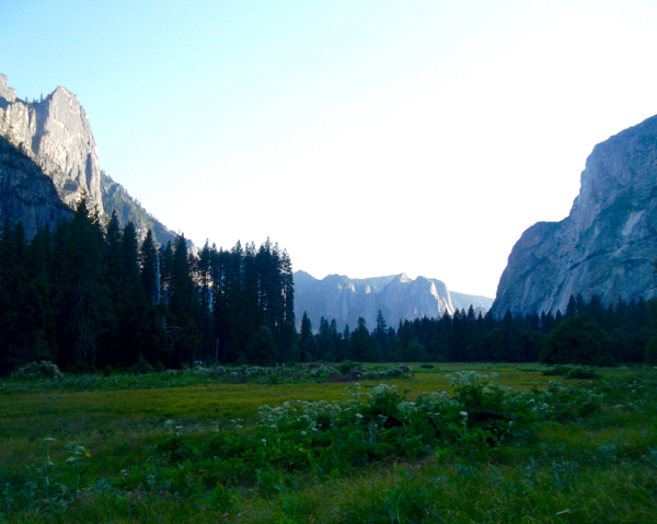 Yosemite National Park Travel Guide Things to do