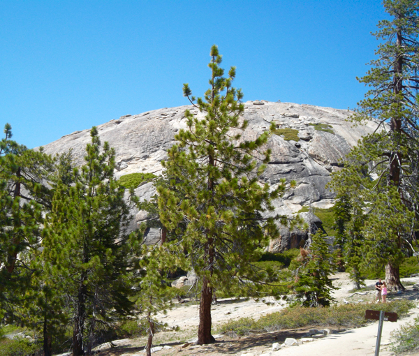 Yosemite National Park Travel Guide Sentinel Dome