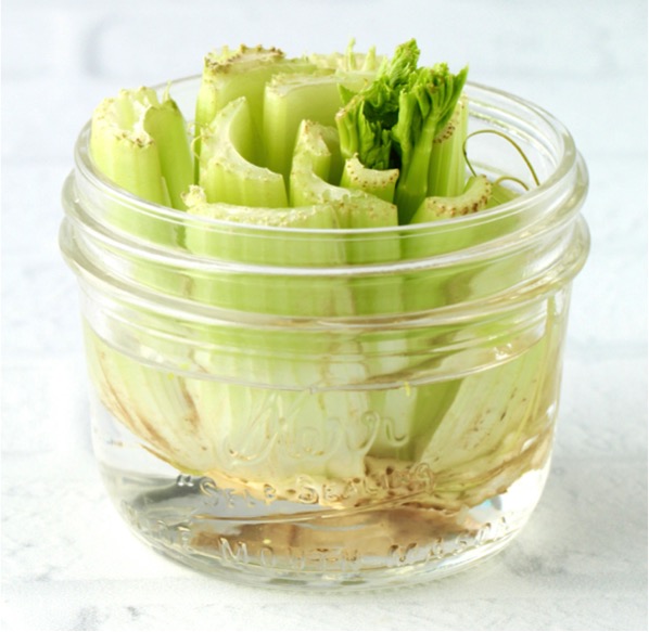 Tips for How to Regrow Celery
