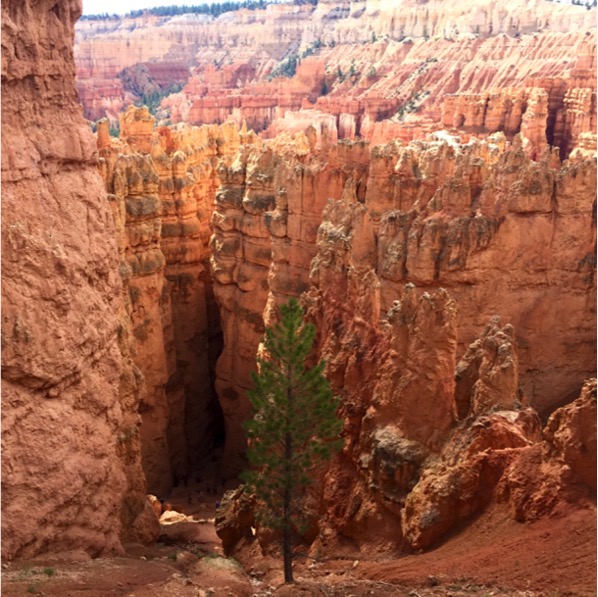 Planning a Backpacking Trip to Bryce Canyon