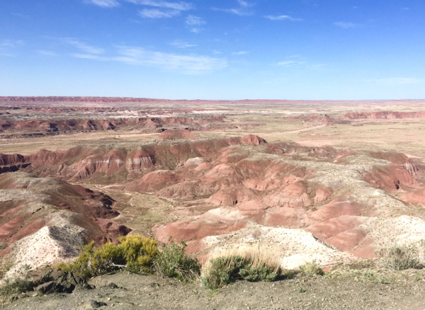 Petrified Forest Travel Guide Painted Desert