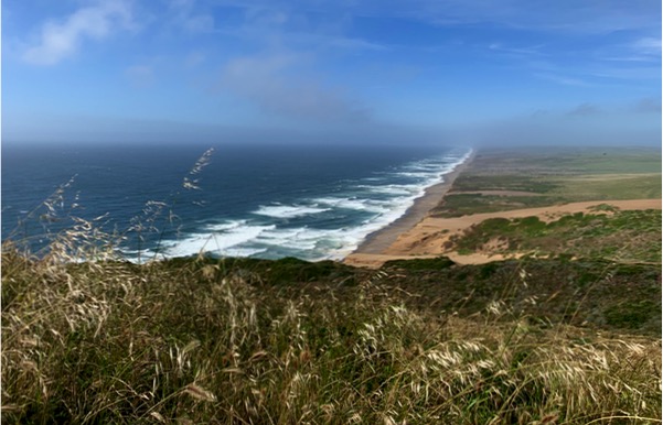 Point Reyes Things To Do on a day trip from San Francisco