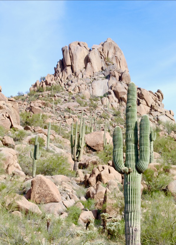 21 Fantastic Things to Do in Scottsdale, Arizona – Never Ending